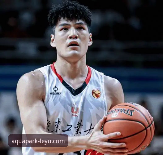 乐鱼体育安全吗 3个关键节点解析CBA状元陈国豪“回避条款”升级背后的技术性争议