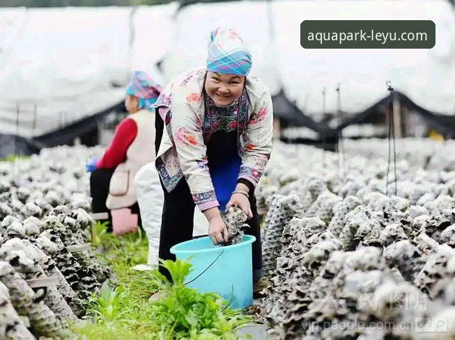乐鱼下载 乐鱼平台官网使用指南:新手也能轻松完成的乐鱼下载与安装教程